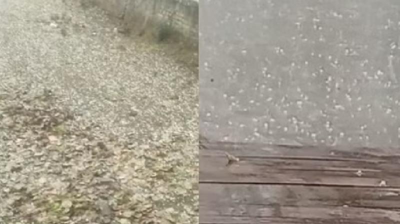 Heavy hailstorm occurred in Haryana, warning of rain in many districts even today