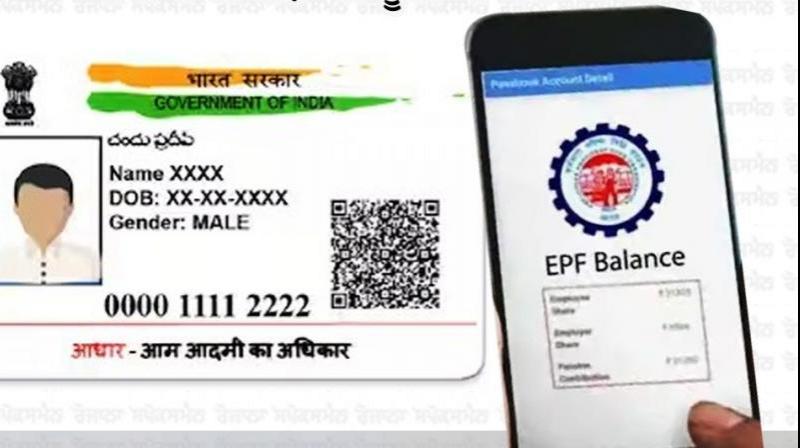  EPFO Removes Aadhaar Card As Date of Birth Proof