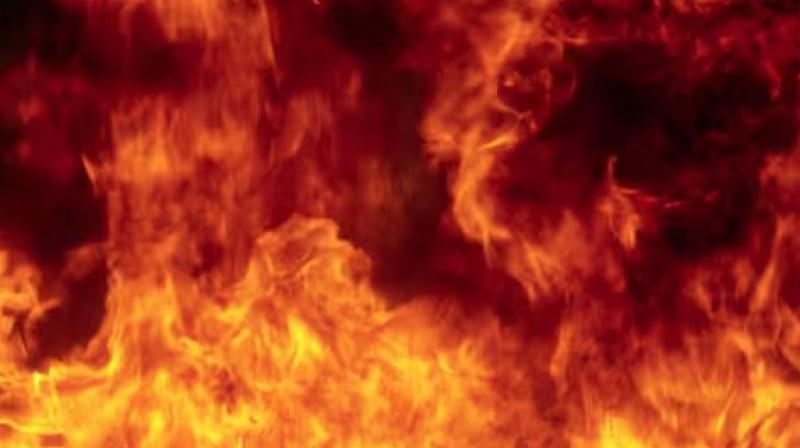 Fierce fire broke out in a foam factory in Bareilly (सांकेतिक फोटो)