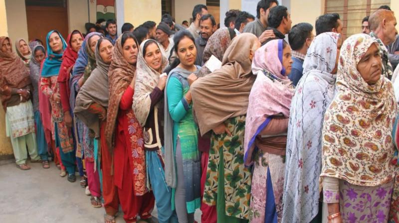 Panchayat elections: Voting continues in four districts of Haryana