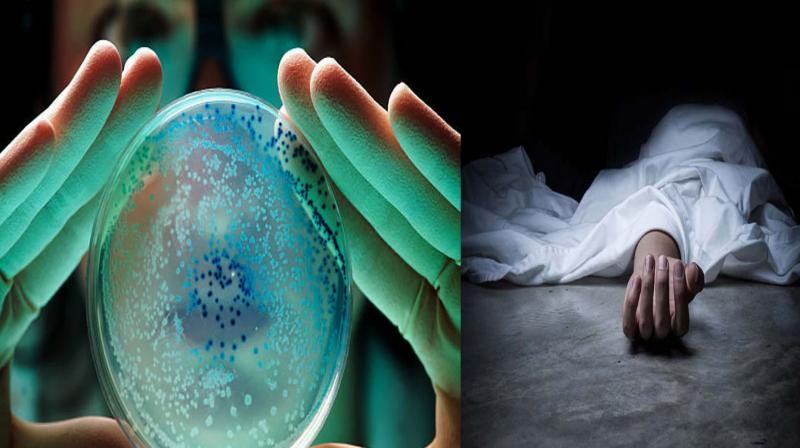 Five types of bacteria claimed 6.8 lakh lives in India in 2019: Lancet study