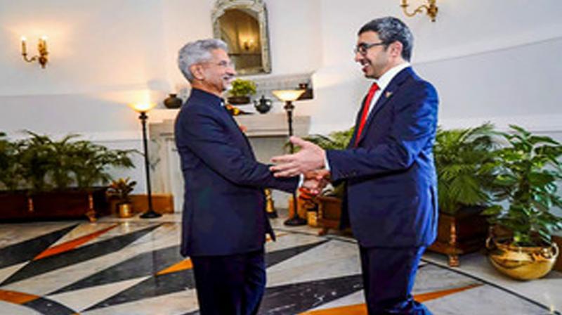 Jaishankar reviews bilateral relations with UAE Foreign Minister