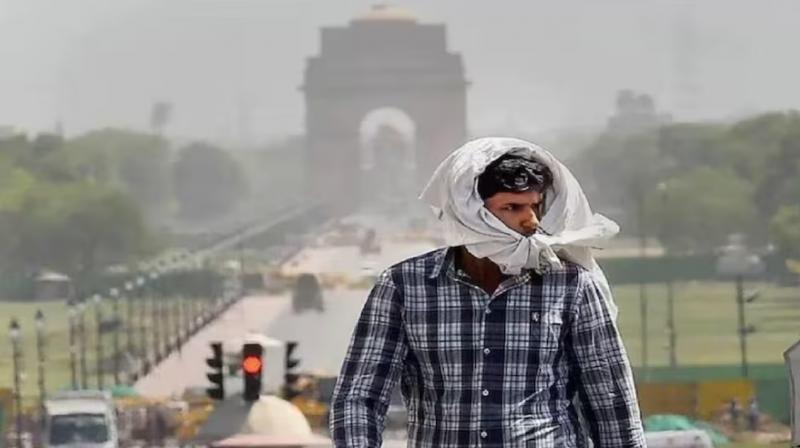 Weather News Heat breaks records in North India, mercury reaches 48 degrees Celsius in Rajasthan
