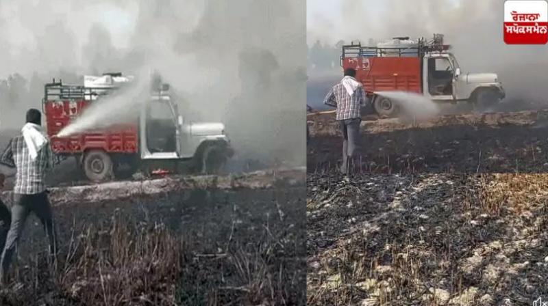  31 acres of farmers' wheat burnt to ashes Haryana News