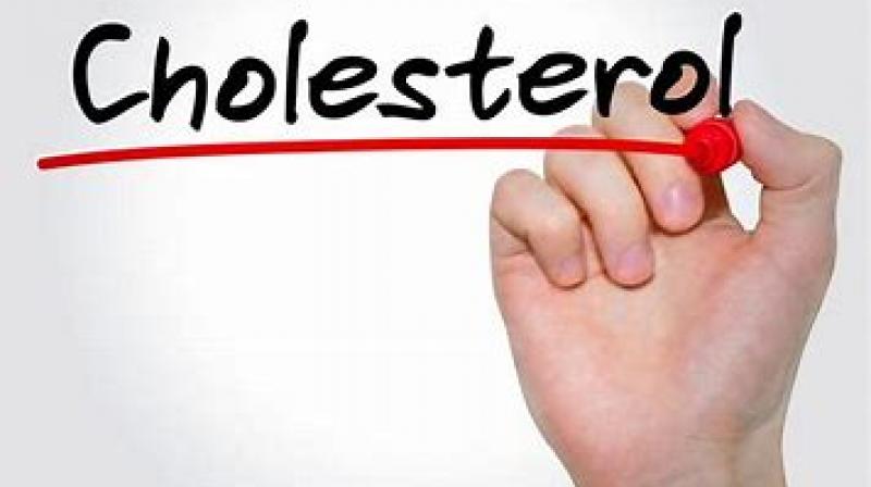 If you are troubled by increasing cholesterol, then adopt these important habits