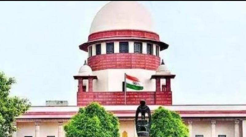 Indian law allows single person to adopt a child: SC