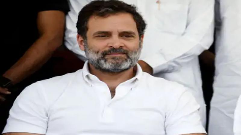 Defamation case: Surat court begins hearing on Rahul Gandhi's appeal to stay sentence