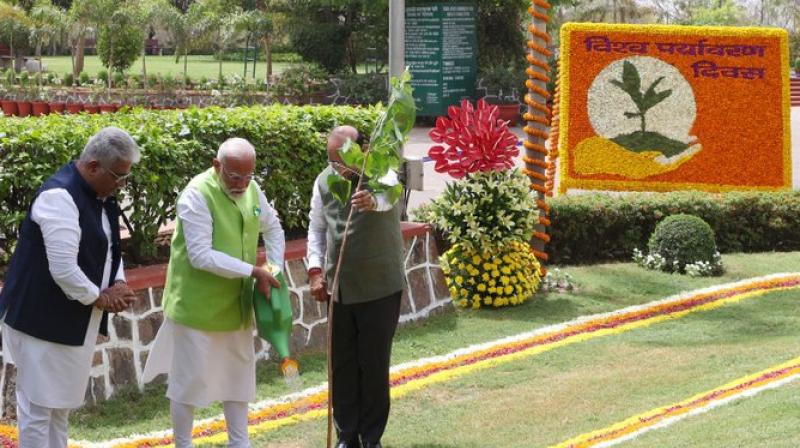 PM Modi campaign for mother on World Environment Day news in hindi