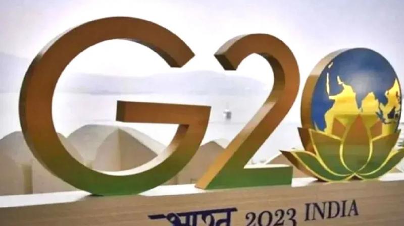 G-20 Summit: G-20 meeting on education issues begins in Amritsar