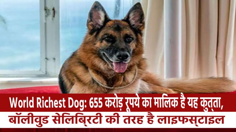 World Richest Dog: This dog owns Rs 655 crore, lifestyle like Bollywood celebrity