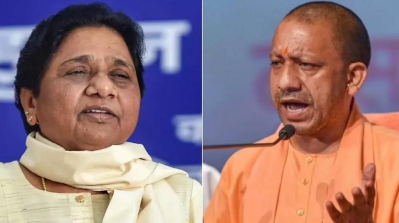  Voting continues on UP 14 seats, CM Yogi and Mayawati appeal people to vote