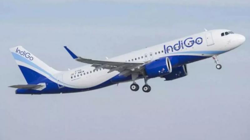 Threat to bomb Indigo flight news in hindi