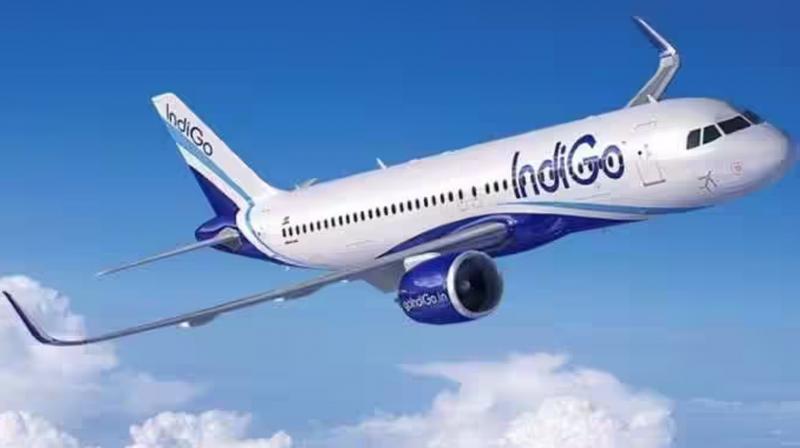 Passenger arrested for trying to open emergency exit door of IndiGo's Nagpur-Bangalore flight