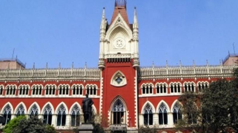 Kolkata High Court: High Court reprimands the state government in Kolkata doctor rape-murder case