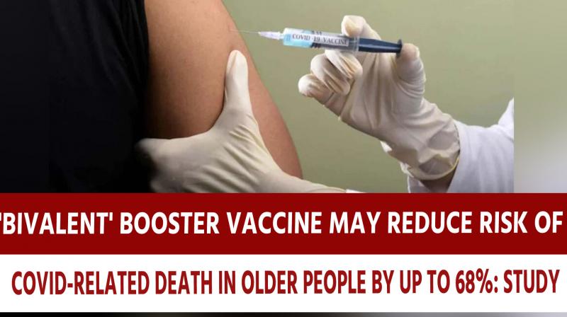 'Bivalent' booster vaccine may reduce risk of Covid-related death in older people by up to 68%: study