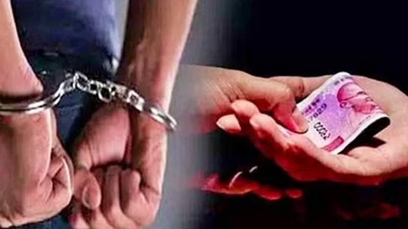 Revenue Patwari arrested for taking bribe in Rajasthan's Nagaur