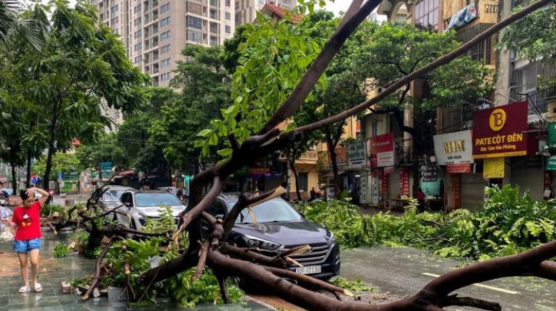 Cyclone wreaks havoc in Vietnam, death toll rises to 141 news in hindi