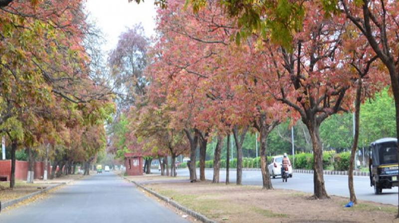 Weather pleasant due to rain in Chandigarh, clouds will remain even today news