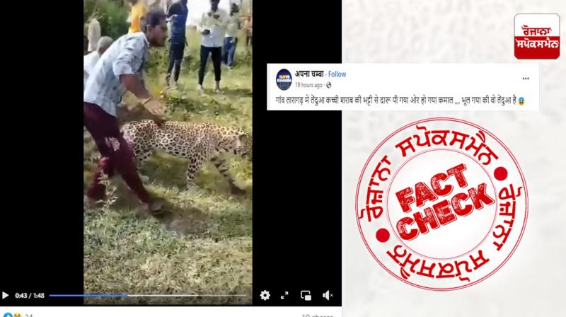 Fact Check: Video of sick leopard viral with misleading claim