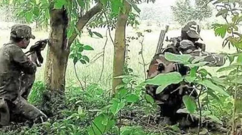 Encounter between police and Maoists in Telangana, six Naxalites killed(सांकेतिक फोटो)