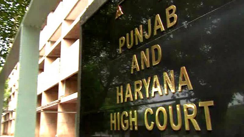 'Pending cases are disease for which the government is primarily responsible', Punjab and Haryana High Court's