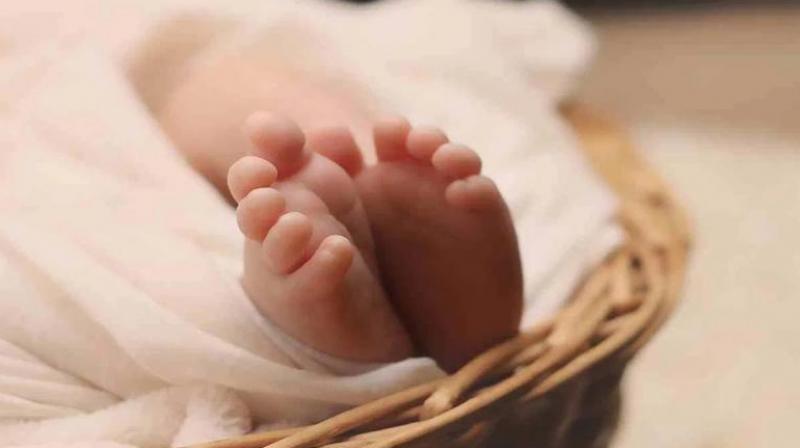 Kalyugi mother throws 2 day old newborn baby girl in Rohtak news