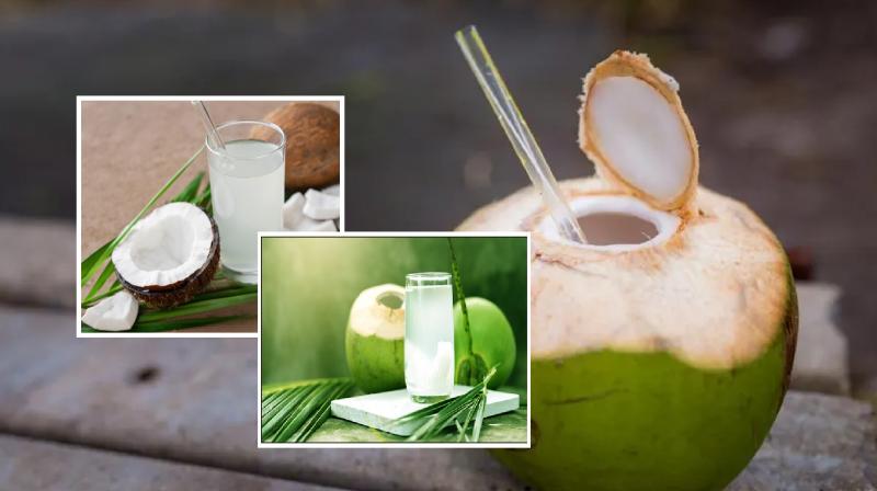 Coconut water is very beneficial, know benefits tips in hindi