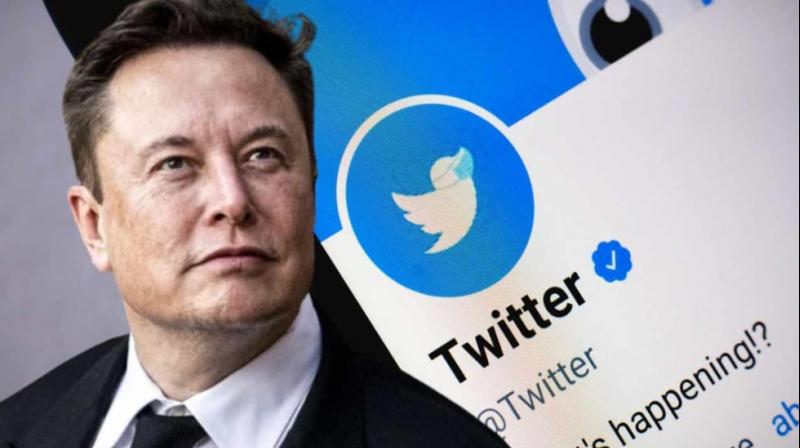 Elon Musk will now make his own phone after buying Twitter?