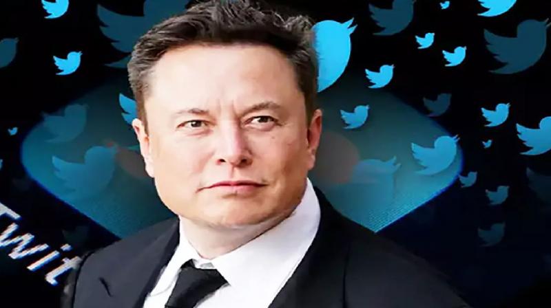 Elon Musk preparing to compete with YouTube and Netflix news in hindi