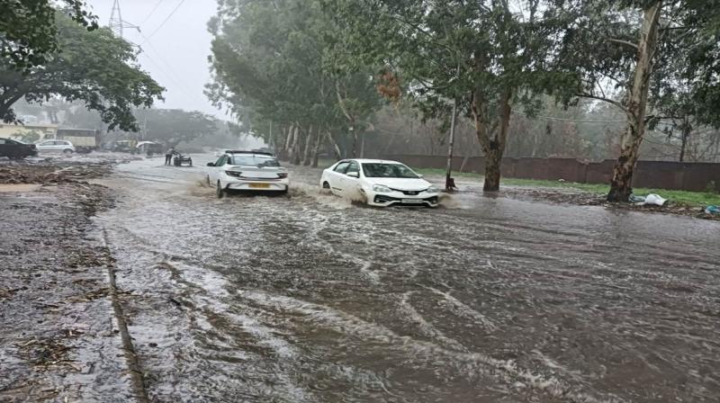 Rain in many areas of Punjab, know the forecast of IMD news in hindi