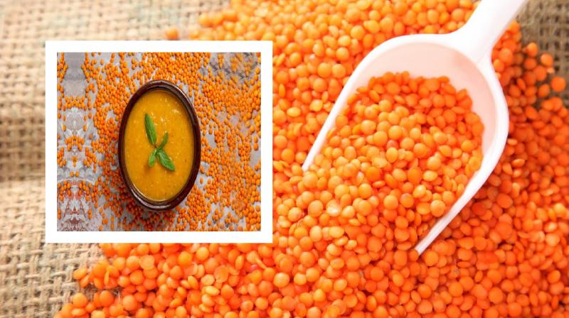 Know the health benefits of eating masoor dal news in hindi