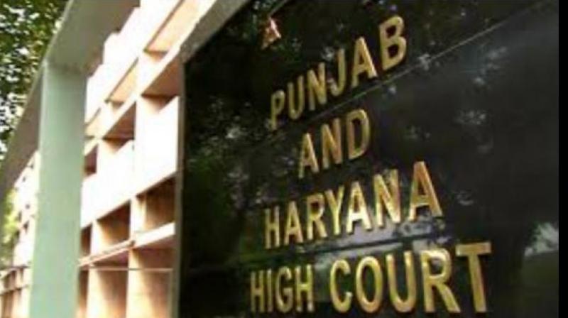 Punjab and Haryana High Court strict stance On lax attitude of the police