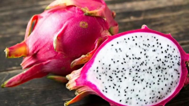 Dragon fruit is very beneficial for health