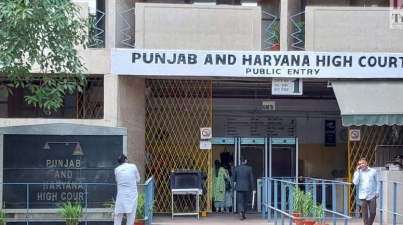 Punjab Haryana High Court orders Punjab School Education Board to regularize services of dozen lecturers within 8 weeks