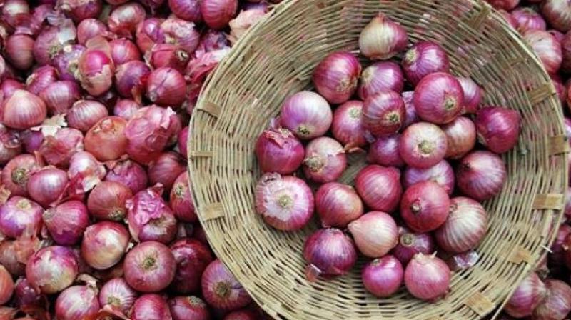 Onion Price News
