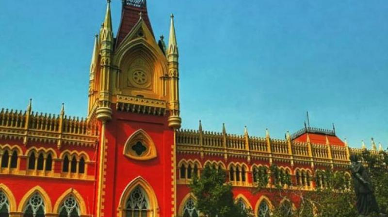 Kolkata High Court on Sandeshkhali Violence Case news in hindi Mamata Banerjee TMC Sheikh Shahjahan