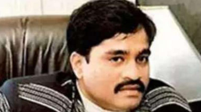 India's wanted criminal Dawood Ibrahim News In Hindi