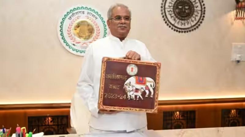 Chhattisgarh budget announces monthly allowance of Rs 2,500 to unemployed youth